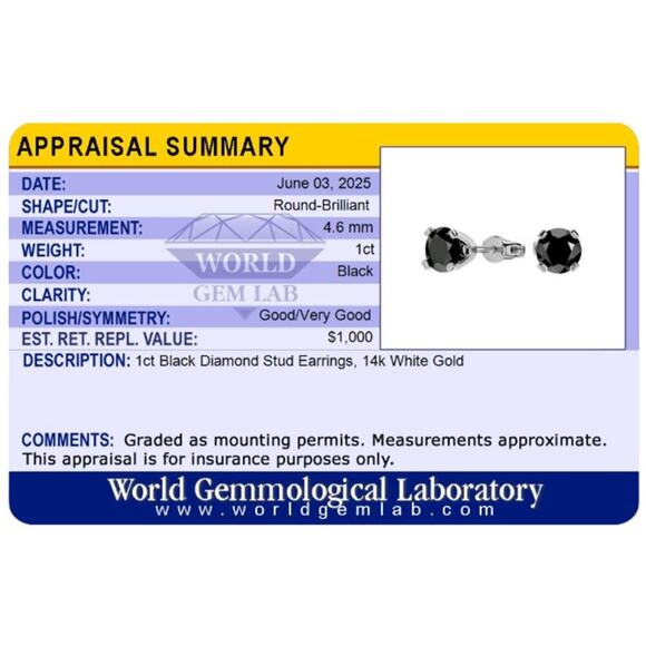 🖤 1ct Black Diamond Stud Earrings | 14K White Gold | Bold & Minimalist NWT - Picture 5 of 5